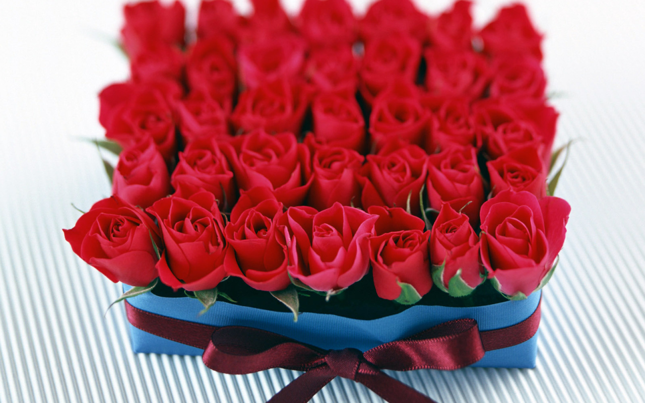 Розы в подарок на 8 марта