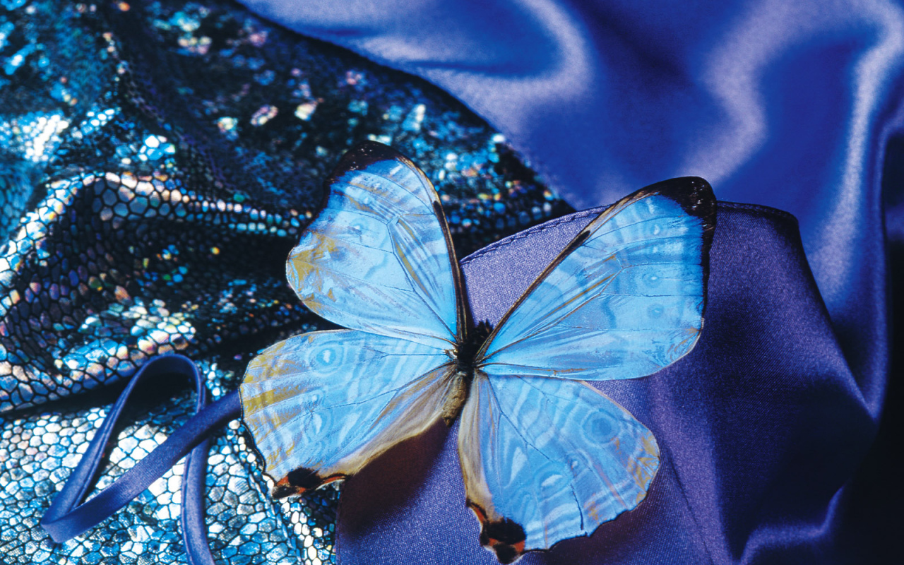 Любимый женский праздник