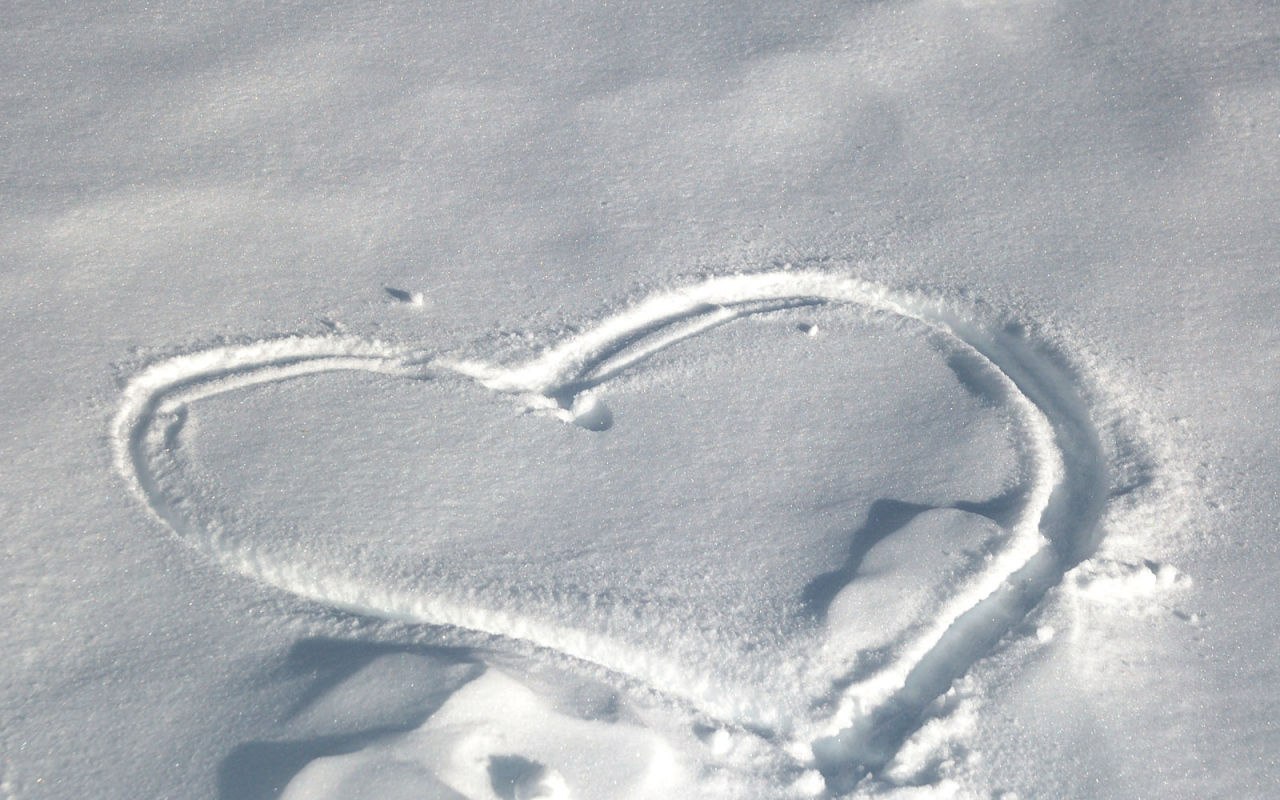 След на снегу