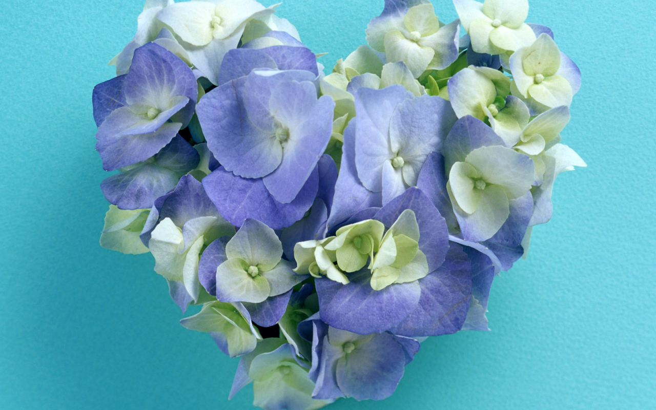 Сердечко из цветов