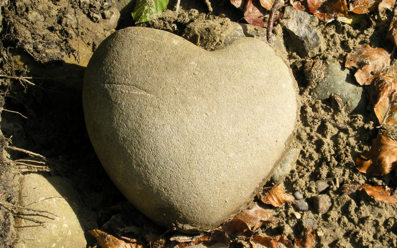 Каменное сердце