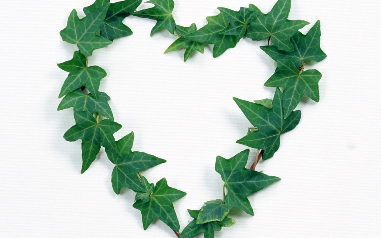 Сердце из листьев