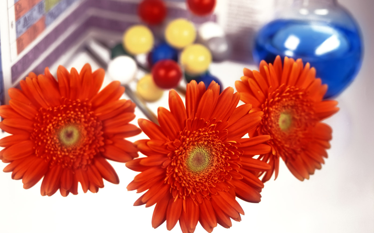 Первый день учебы