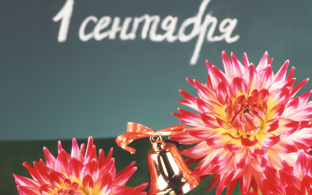 День знаний