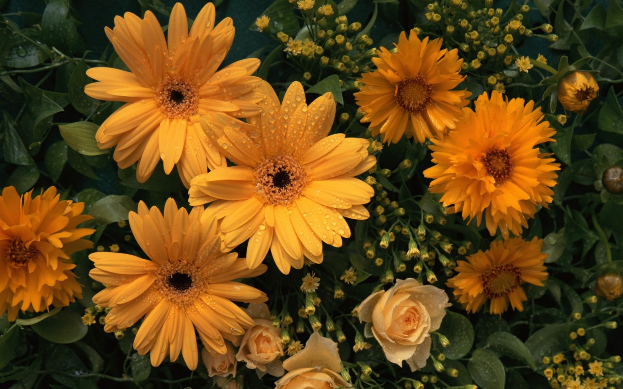 Цветы любимой женщине