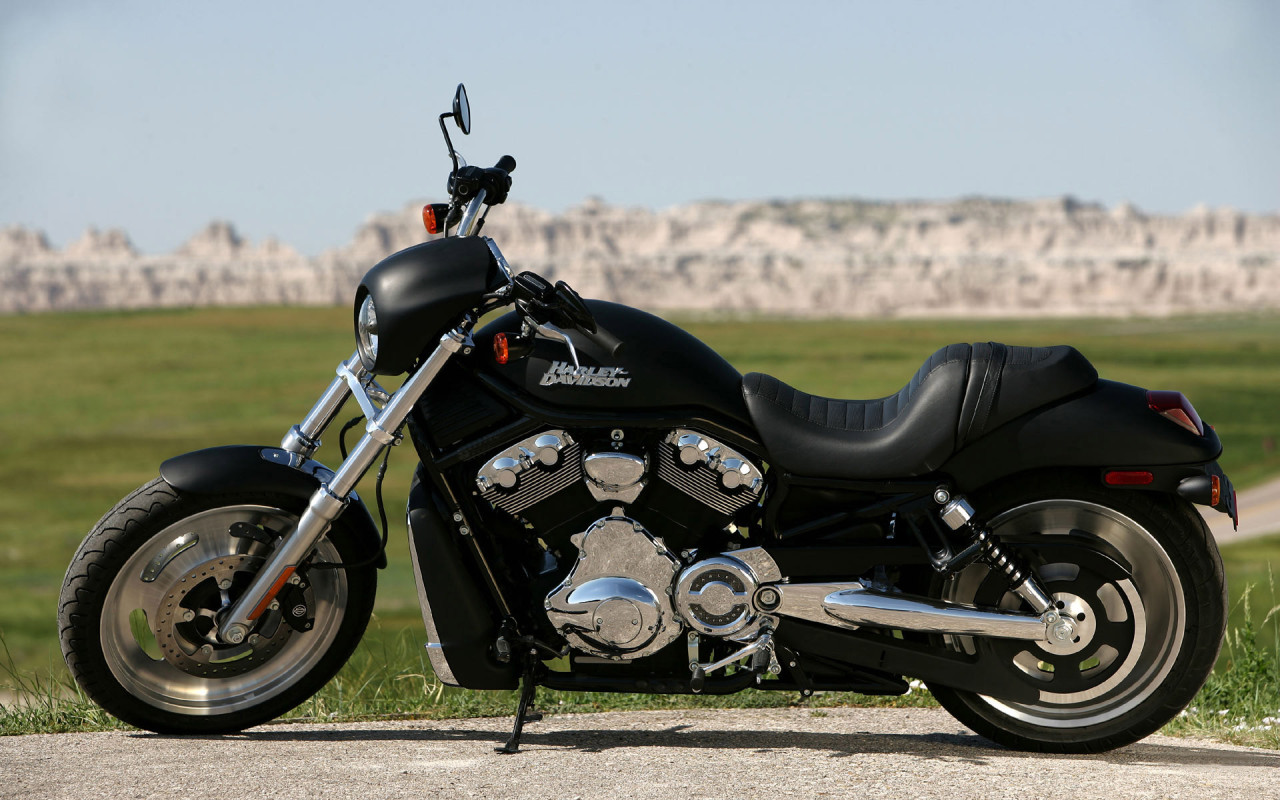 Black Harley Davidson motorcycle