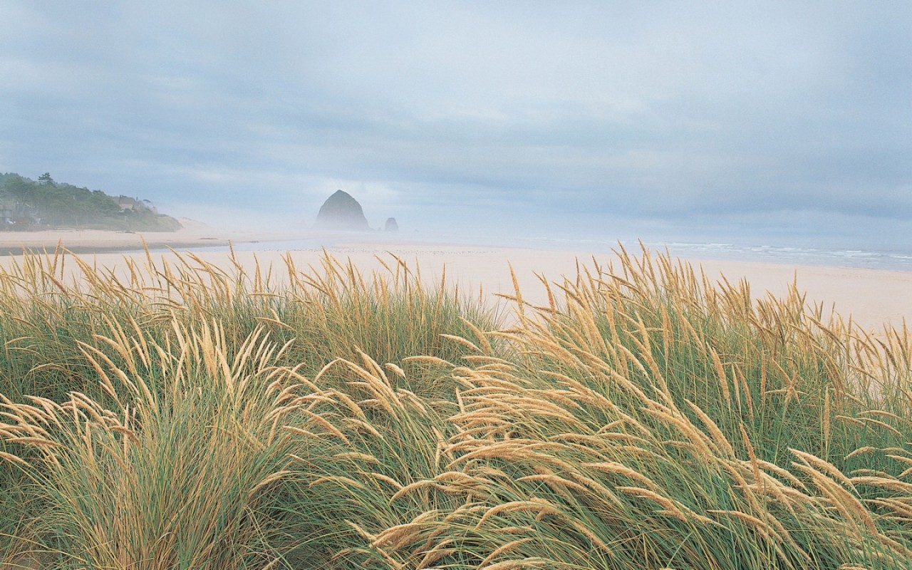 На берегу моря