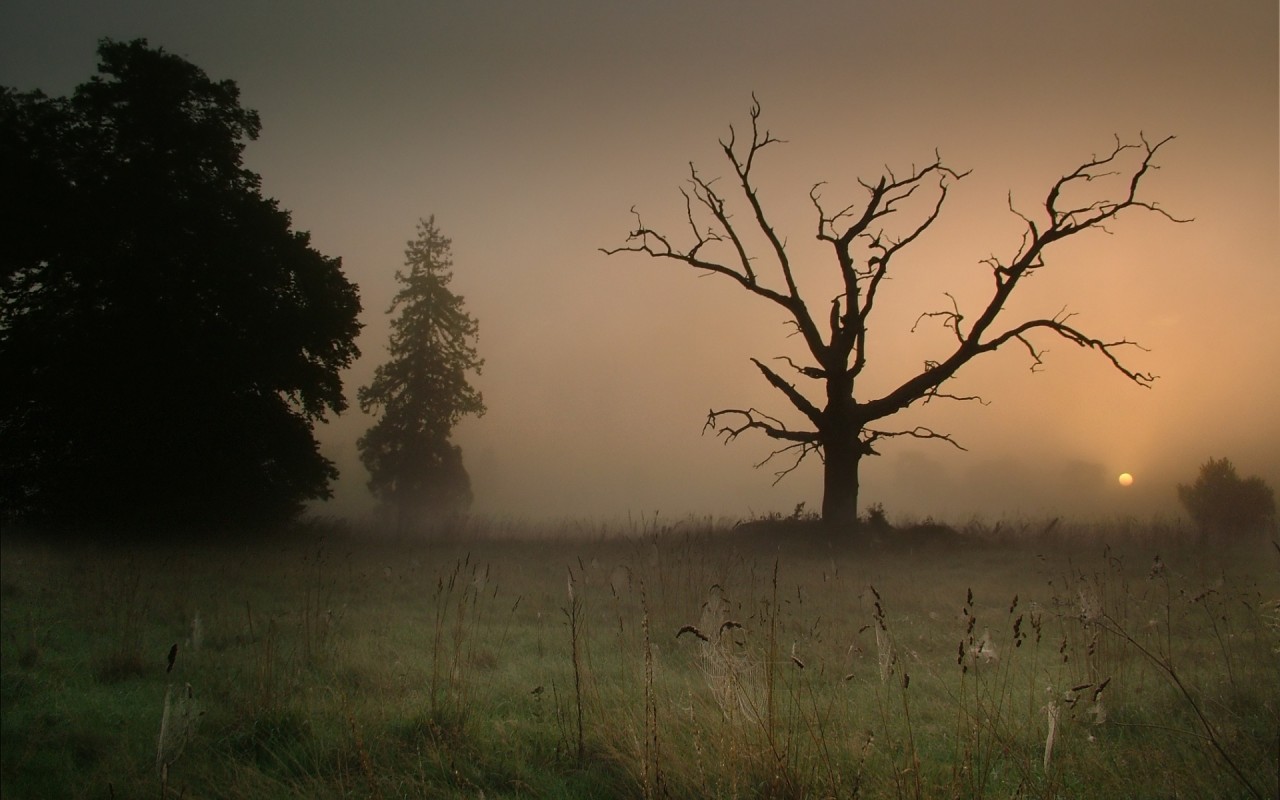 Сумрачный туман
