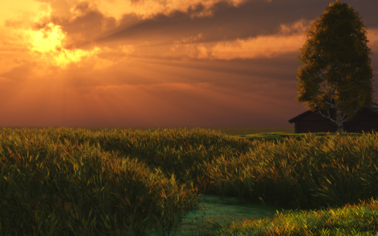 Летний вечер