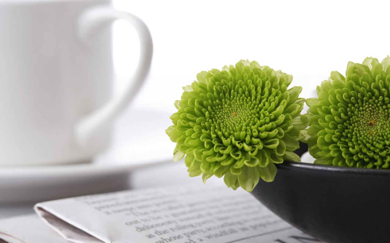 Зеленые цветы