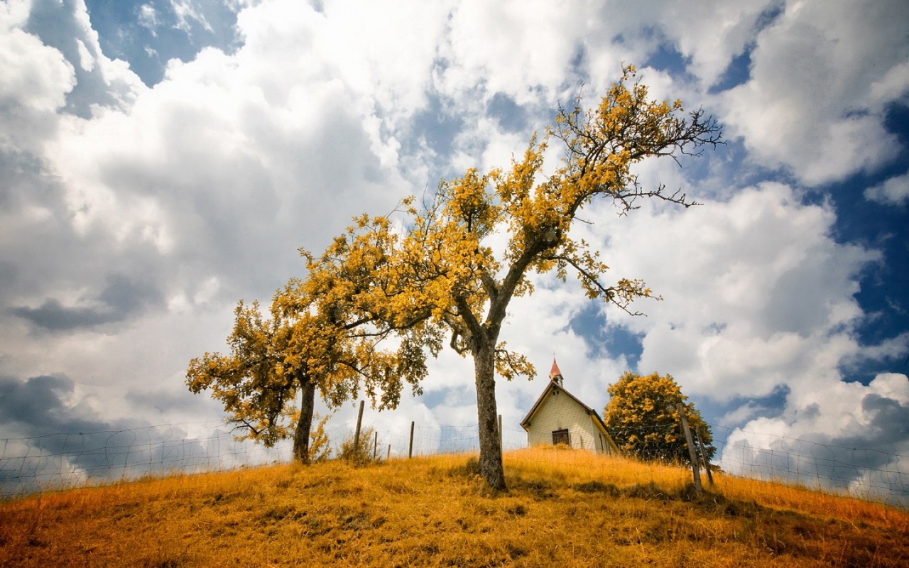 В желтом фокусе