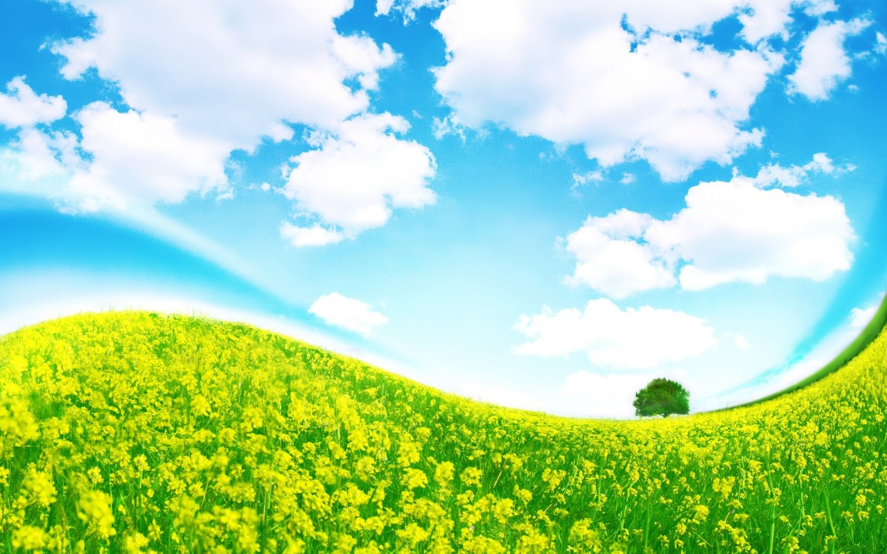 Крутая полянка