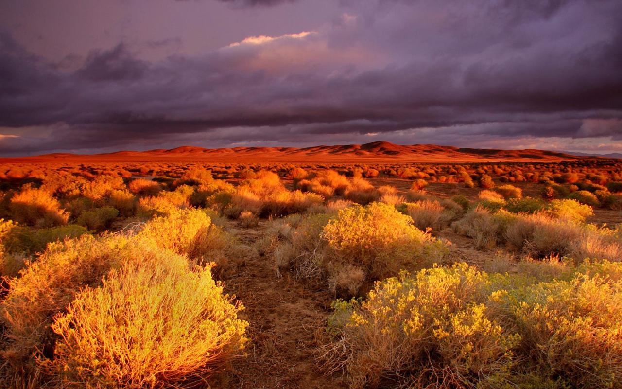 долина Antelope
