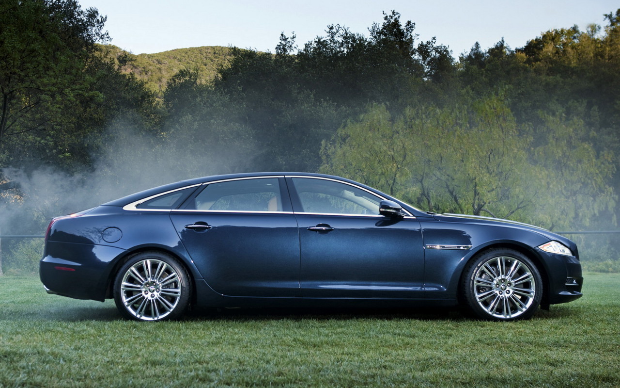 Ягуар XJ в лесу