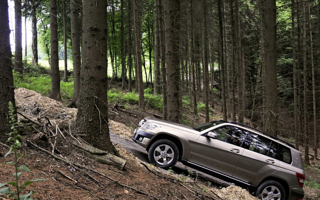 Mercedes Benz GLK прогулка по лесу