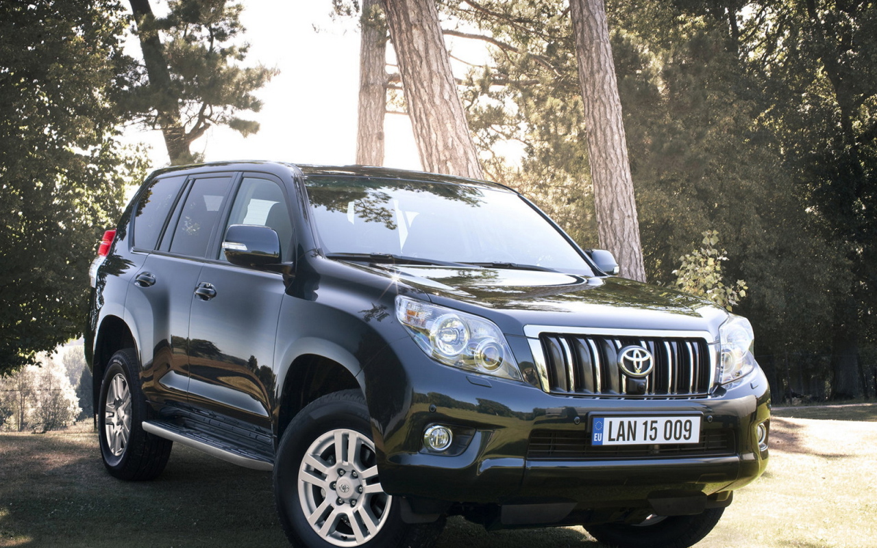 Тойота Лэнд Крузер в лесу