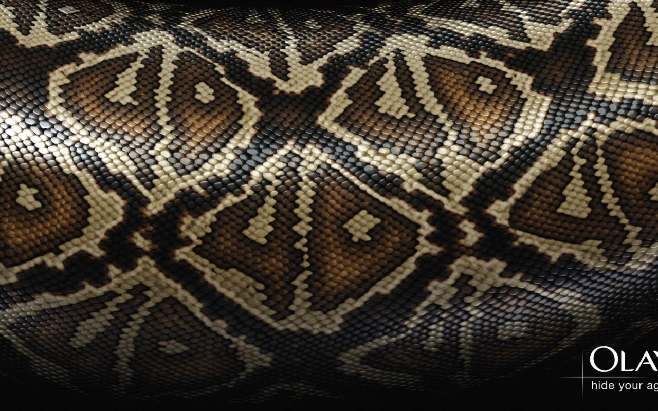 Змеиная кожа