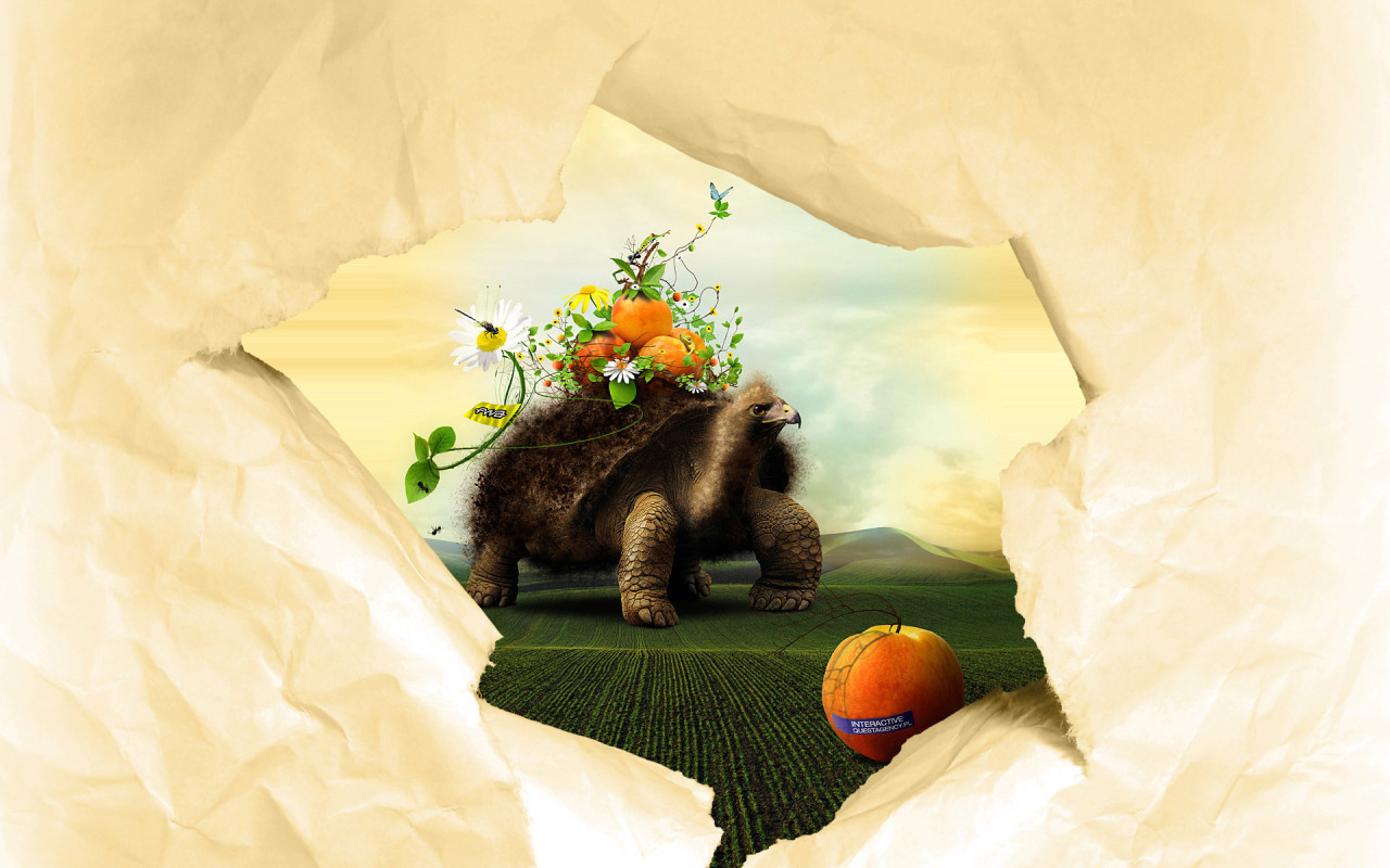 Черепаха и персики