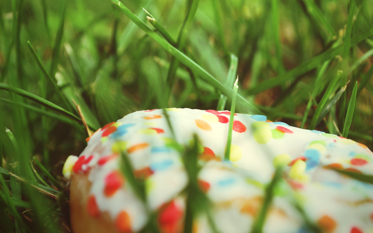 Потерянный пончик