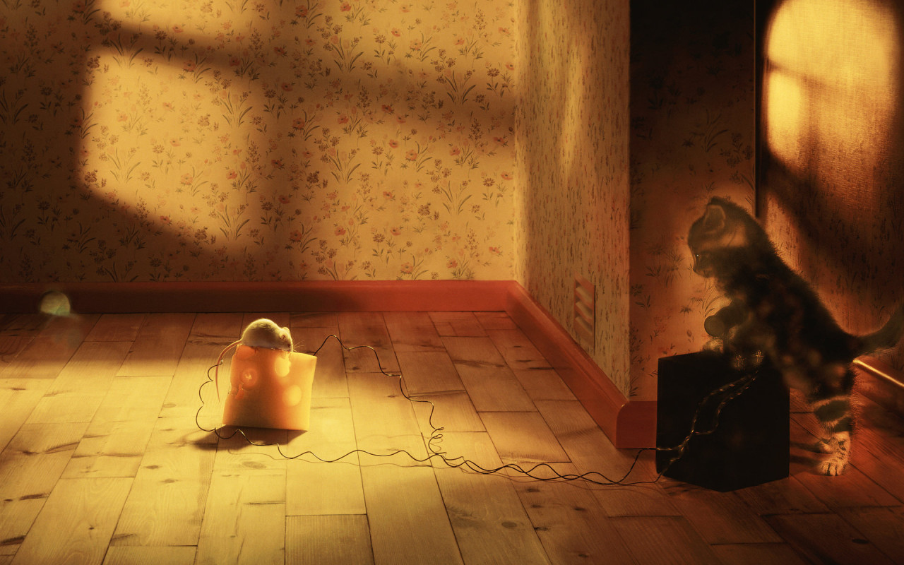 Кошки мышки