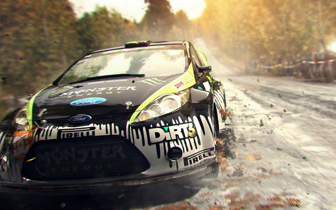 симулятор Colin McRae: Dirt 3
