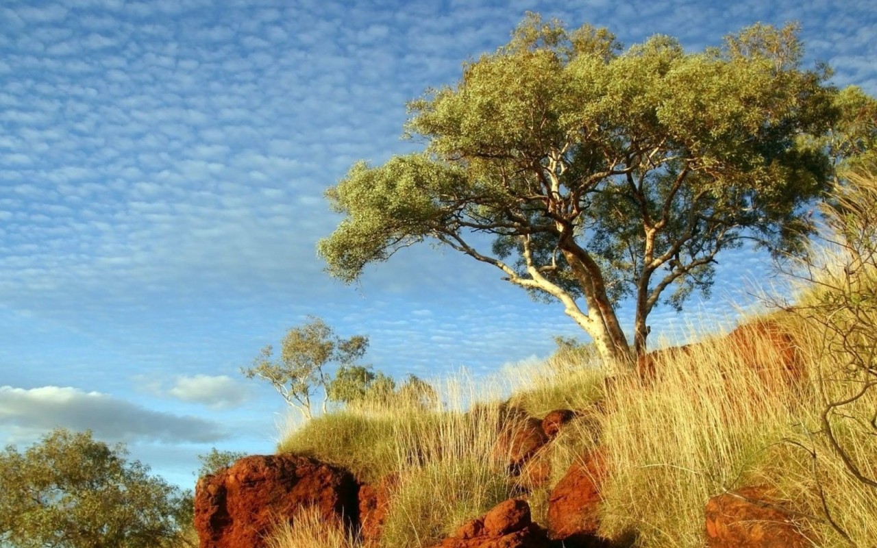 В солнечный день