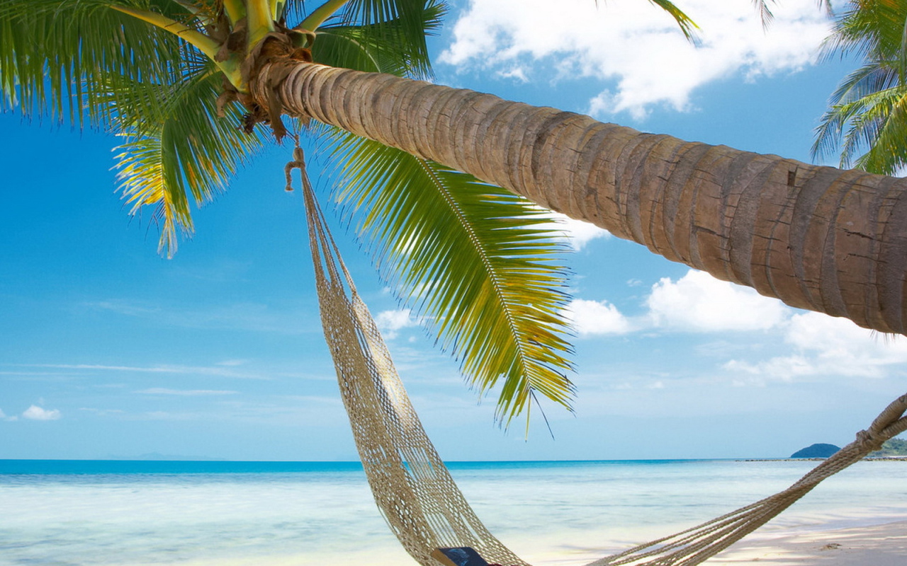 Гамак на берегу океана