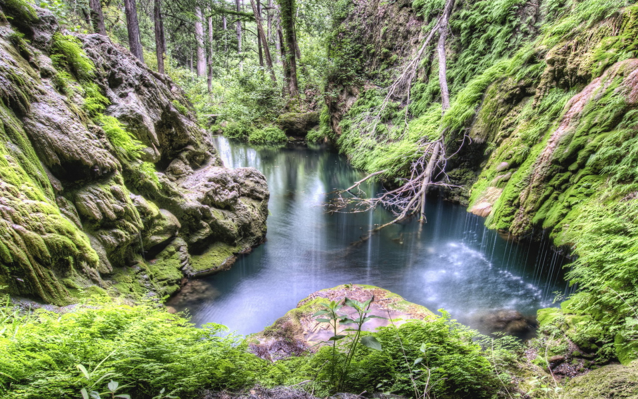 Лес, каменные склоны, ручей