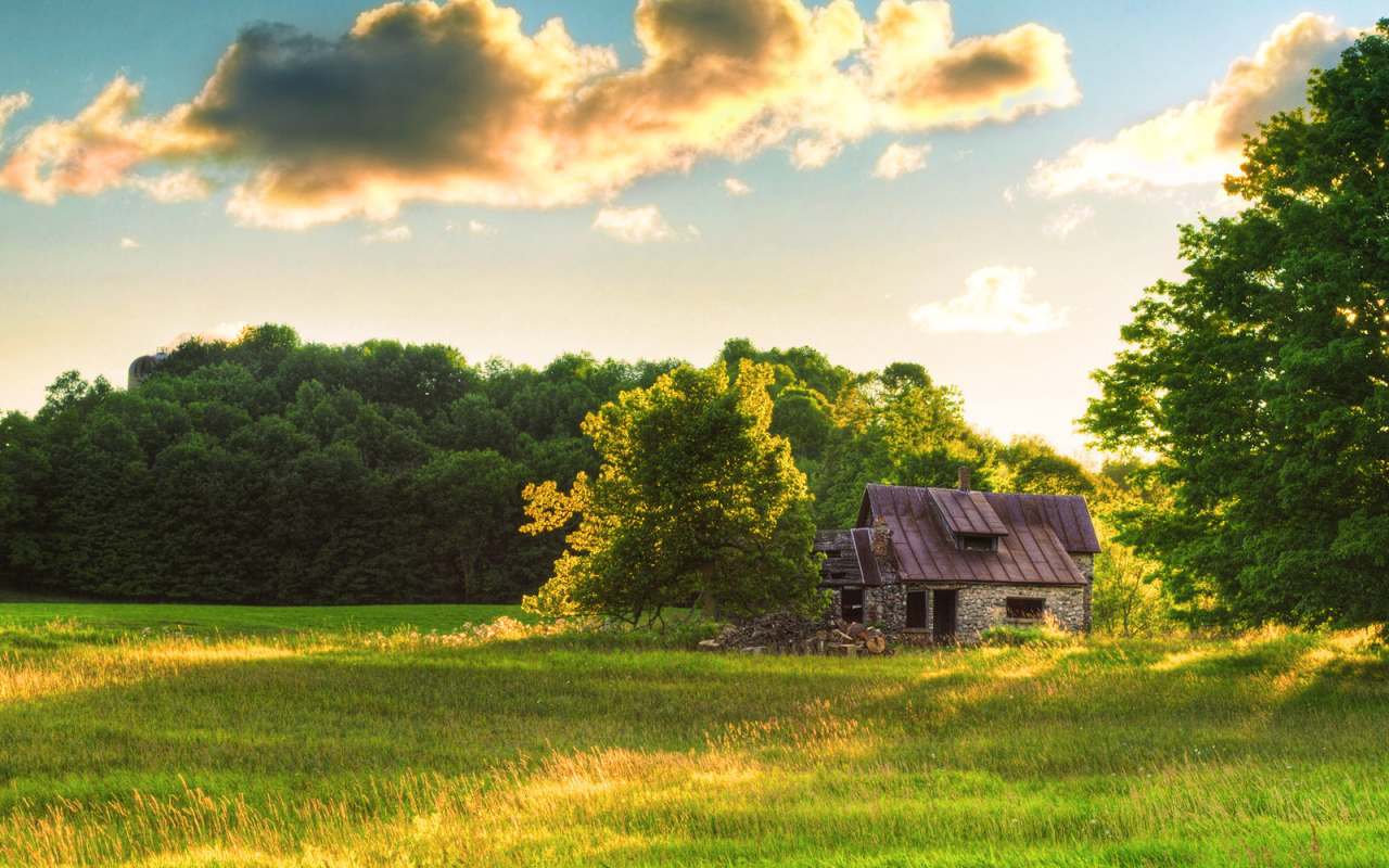 Старый домик на поляне