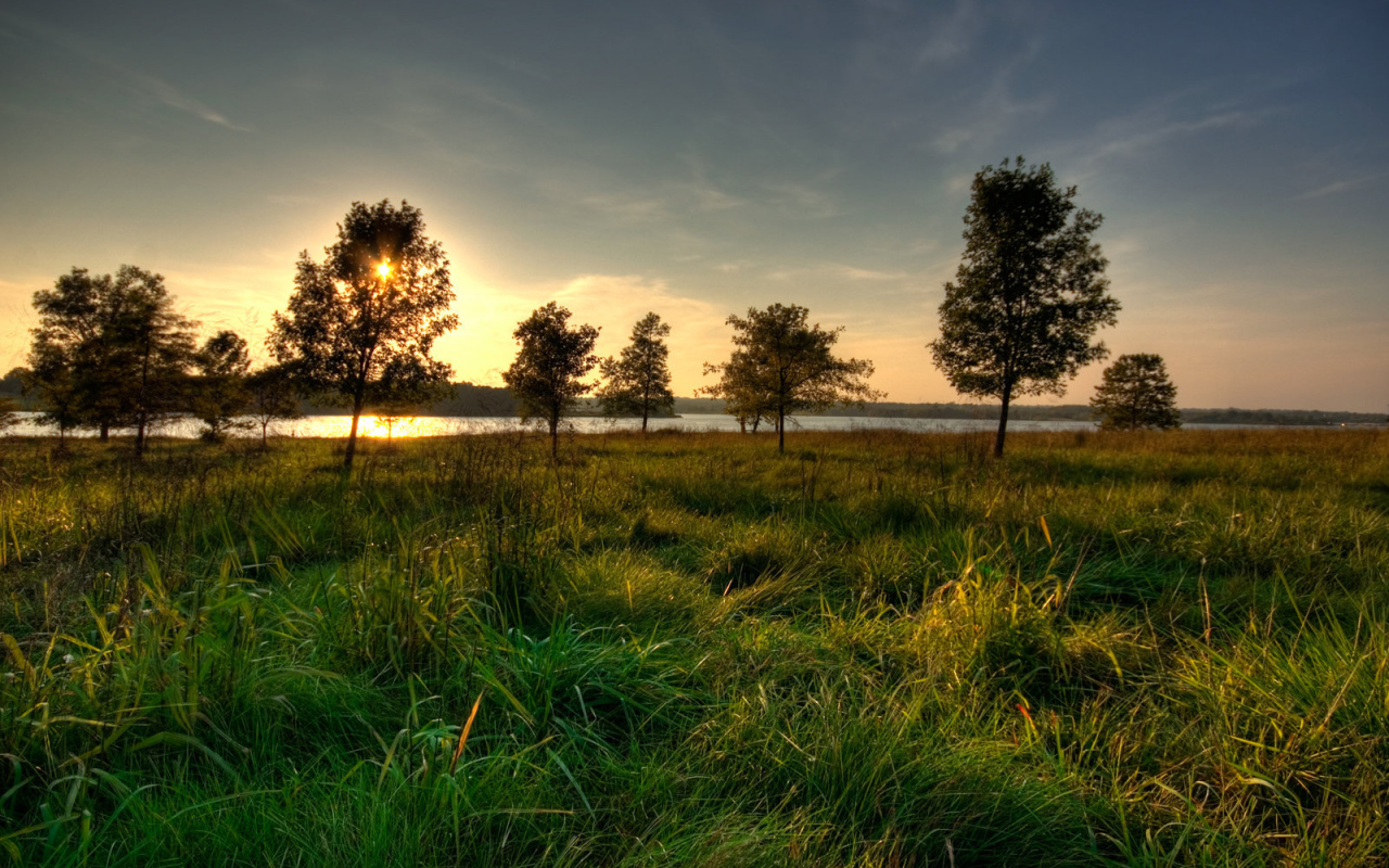 К речке по утру