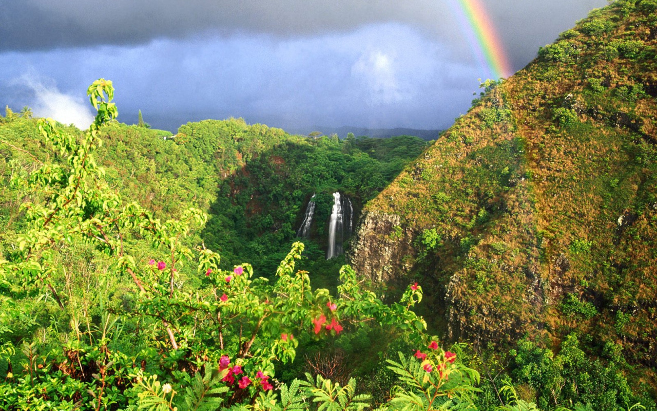 Водопад Опаека Гаваи