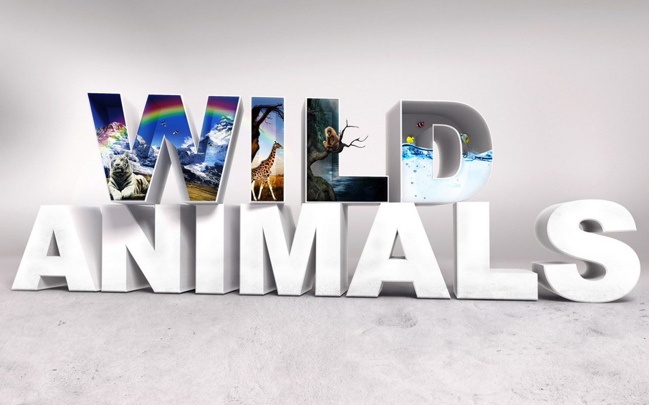 Дикие животные