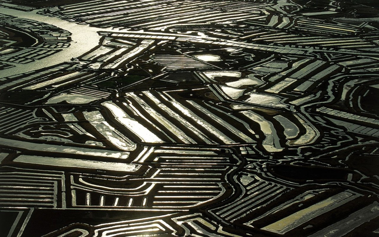 Устричные фермы