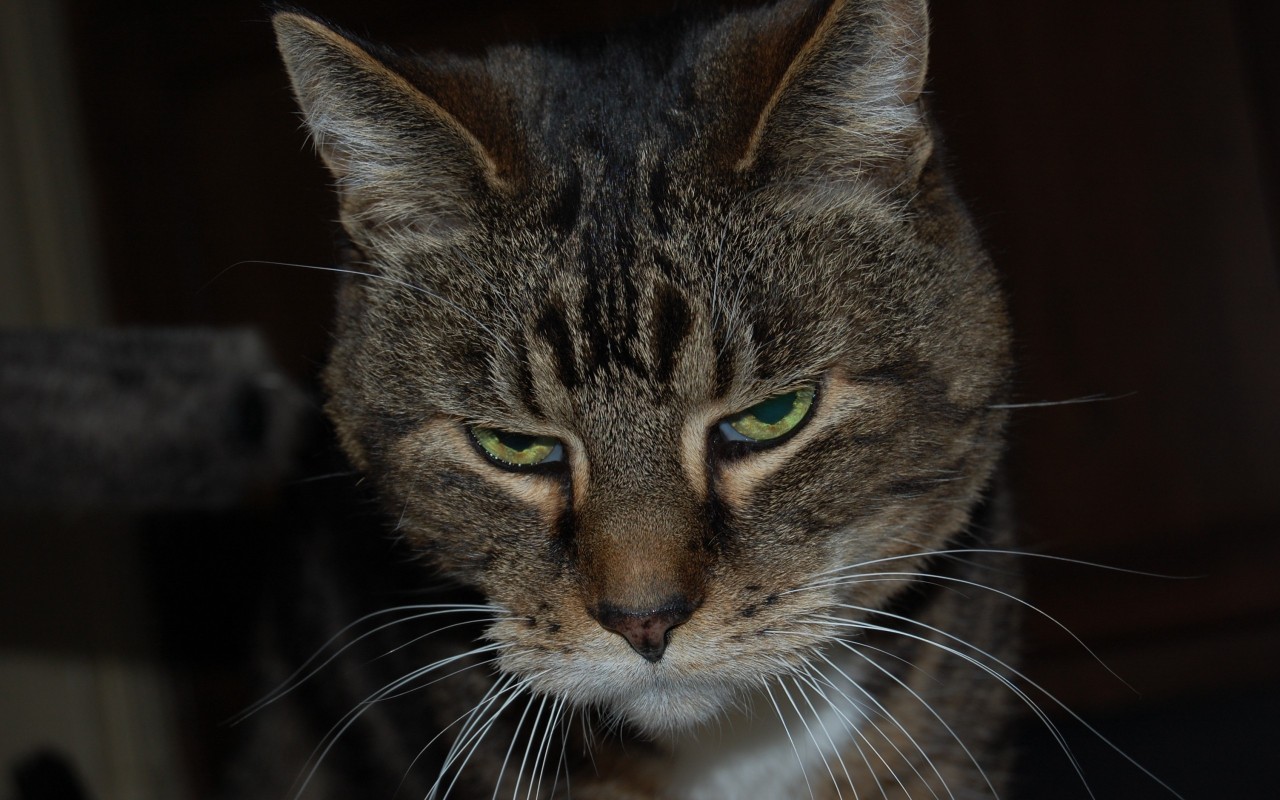 Весна сводит меня с ума