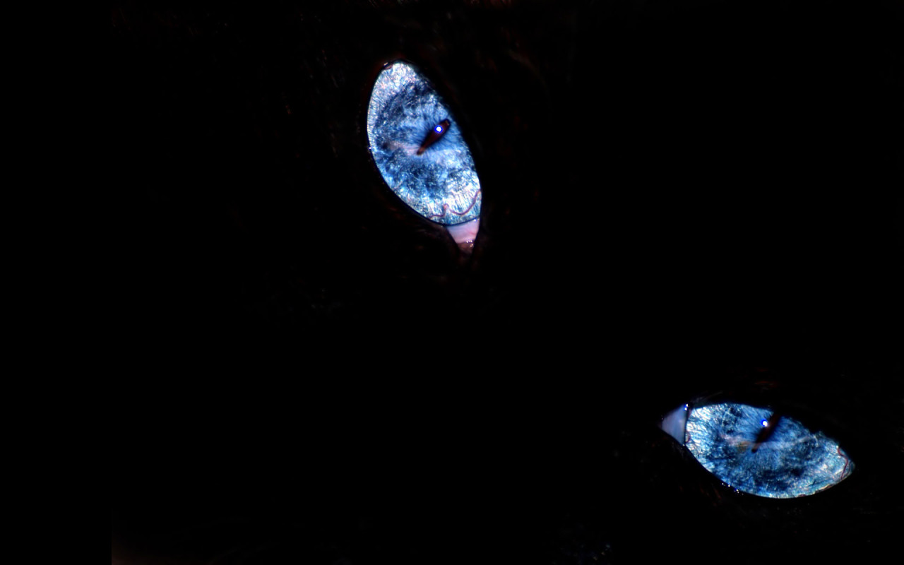 Эти глаза напротив