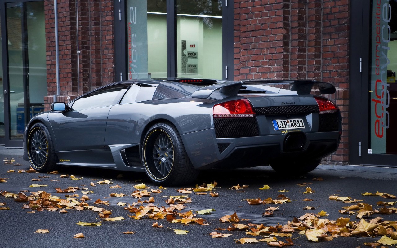 Lamborghini Murcielago вид сзади