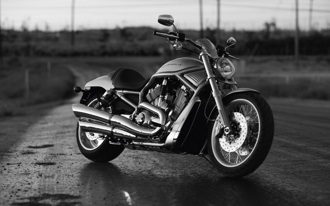 Harley Davidson  V-Rod