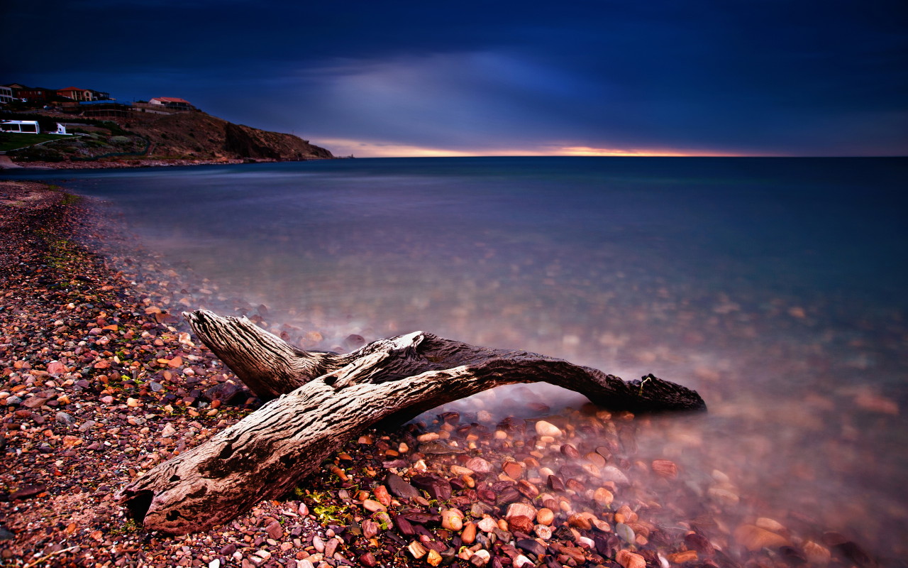 Коряга на берегу