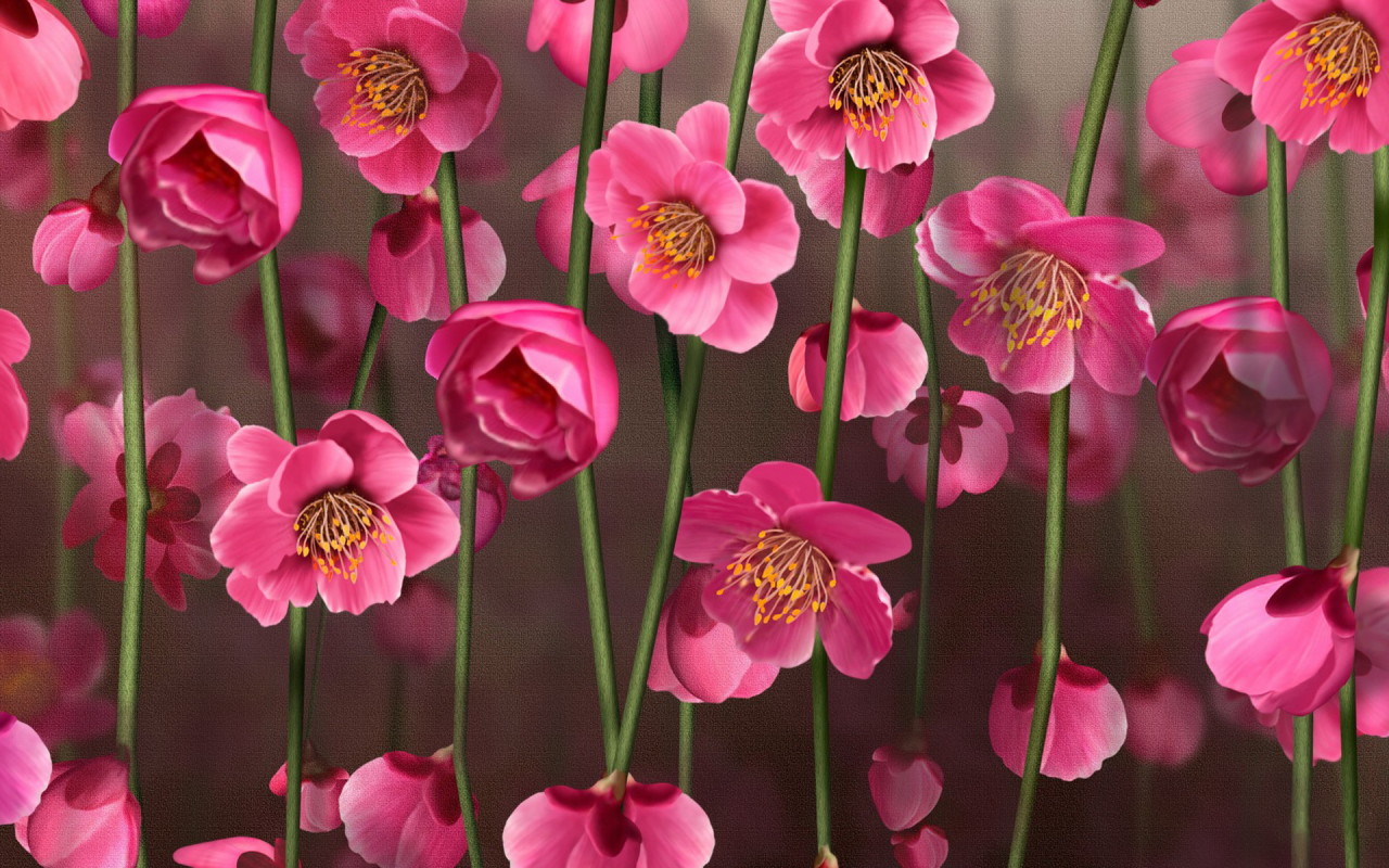 Рисунок цветов