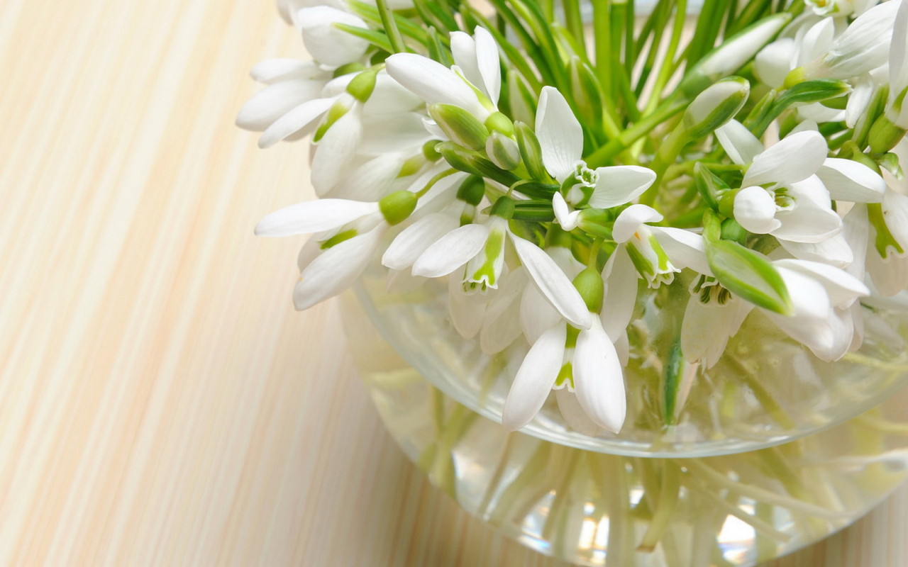 вазочка Подснежников