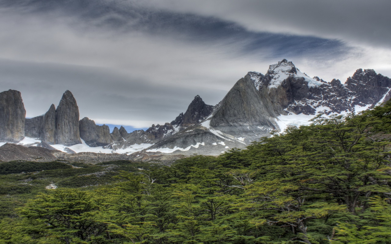 Скалы за лесом