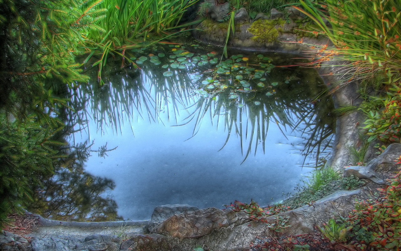 Среди камышей