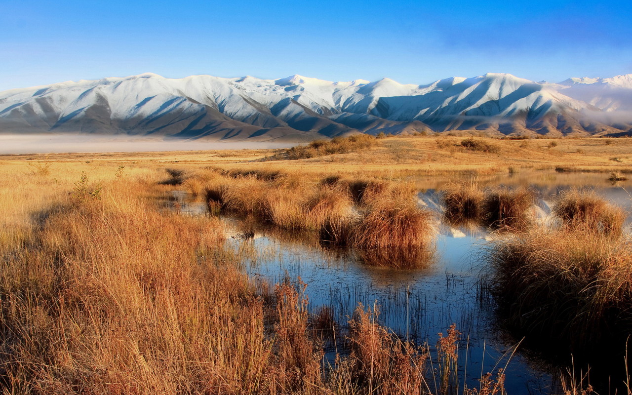 Болото и горы