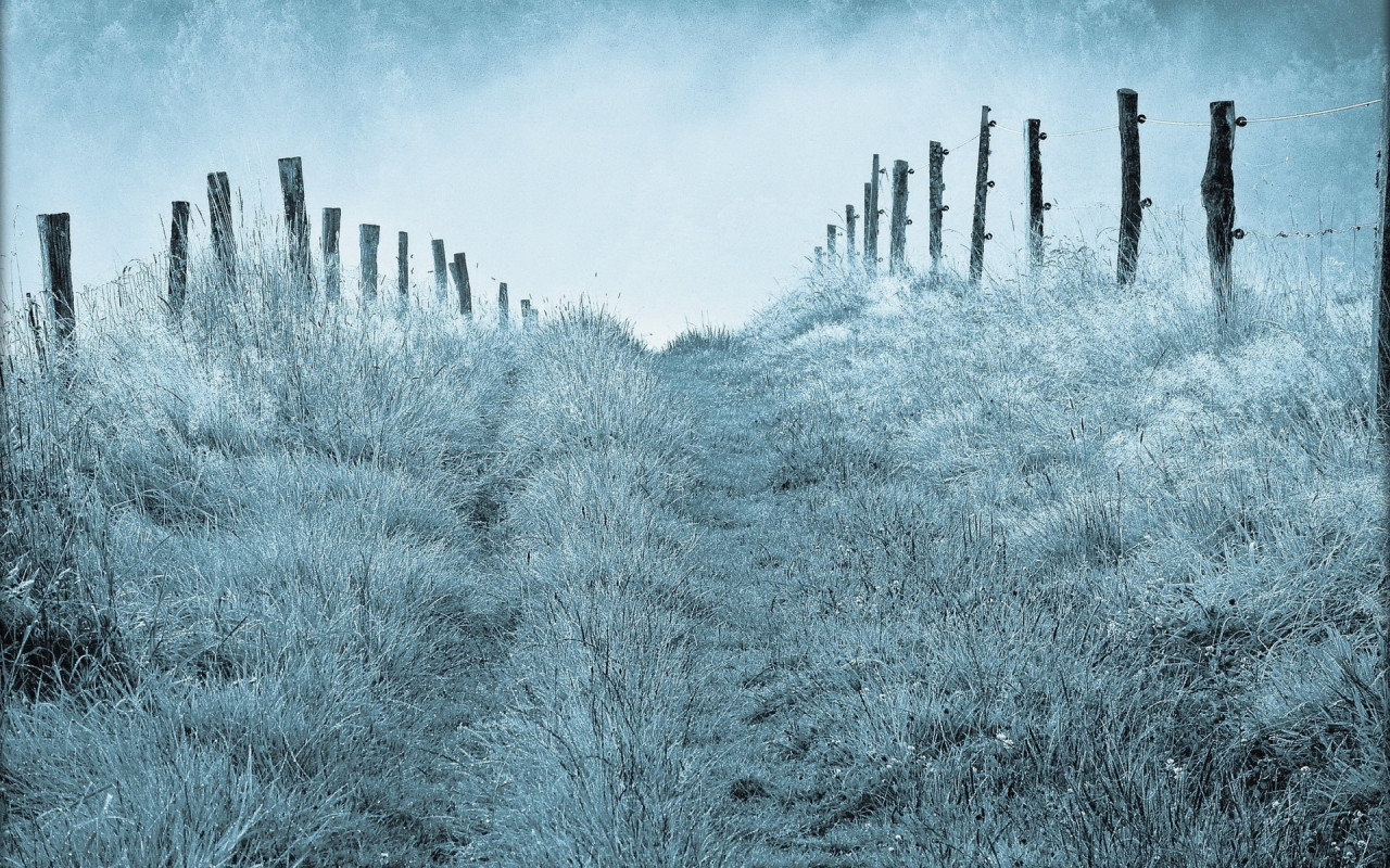 Туманным утром