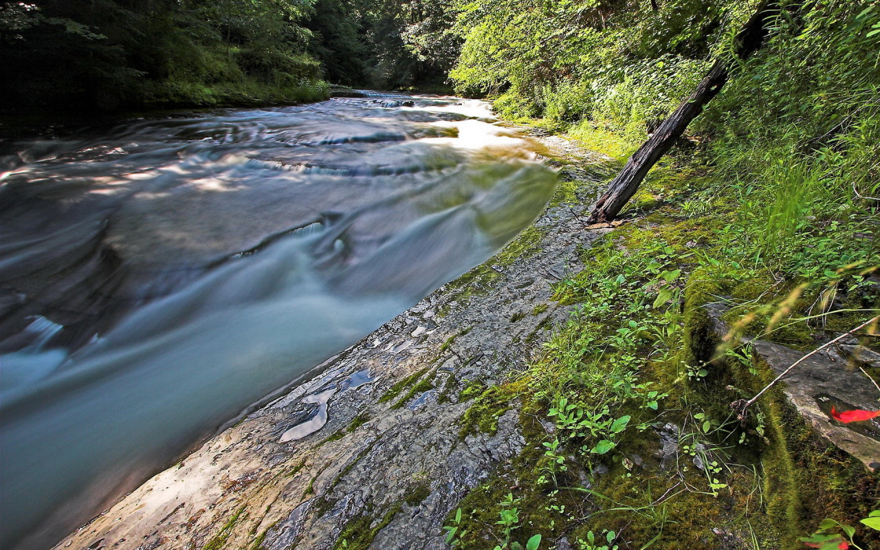 Стремительная речка