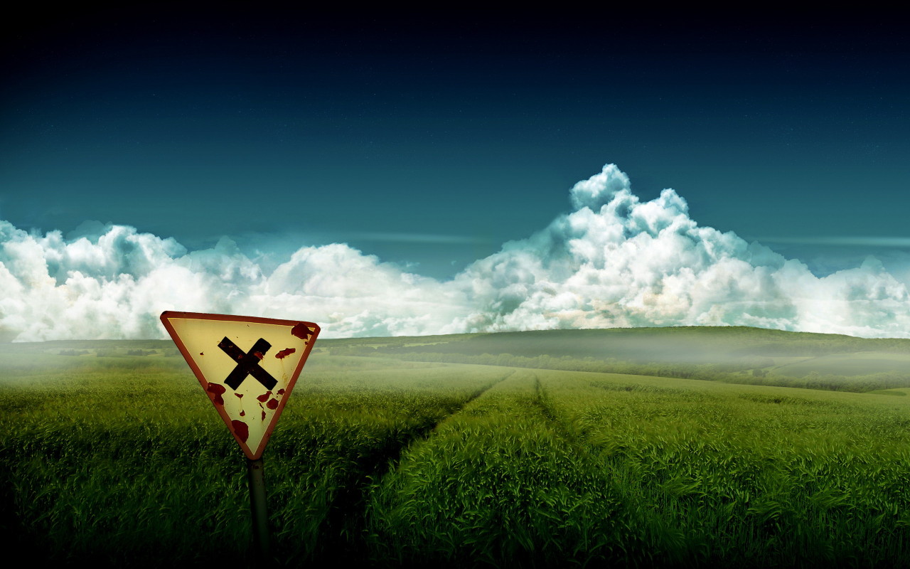 Зеленое поле