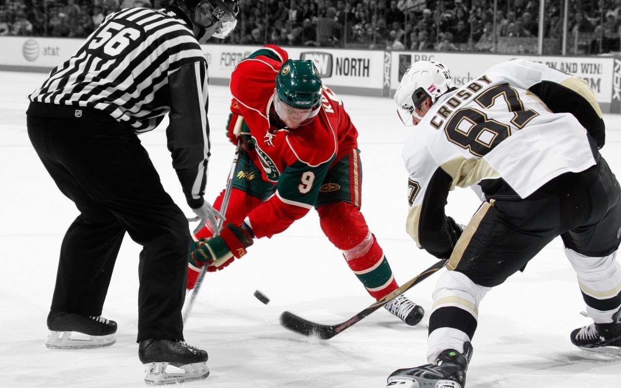 хоккей, лед, шайба