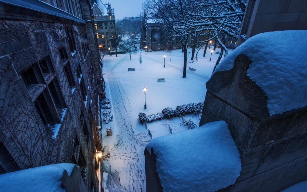 Заснеженная улица