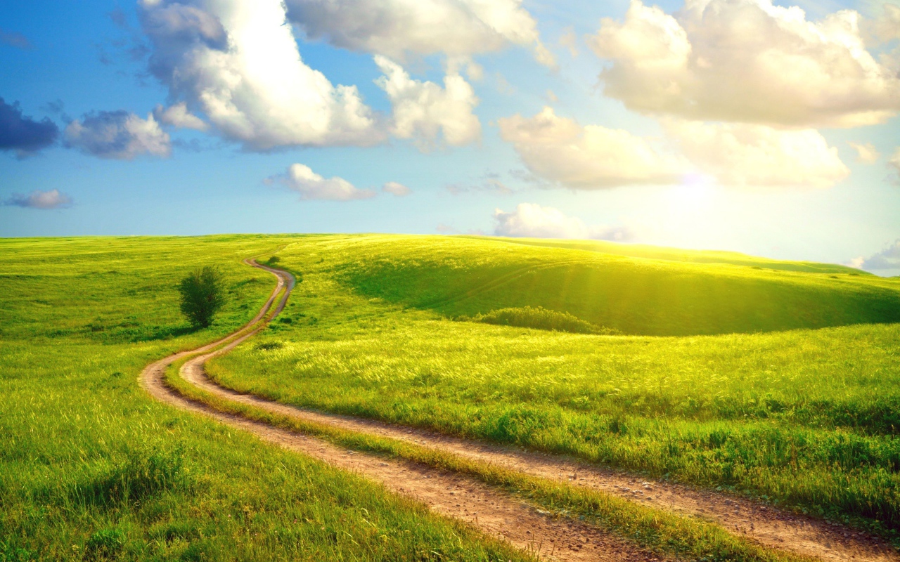 Солнечный день