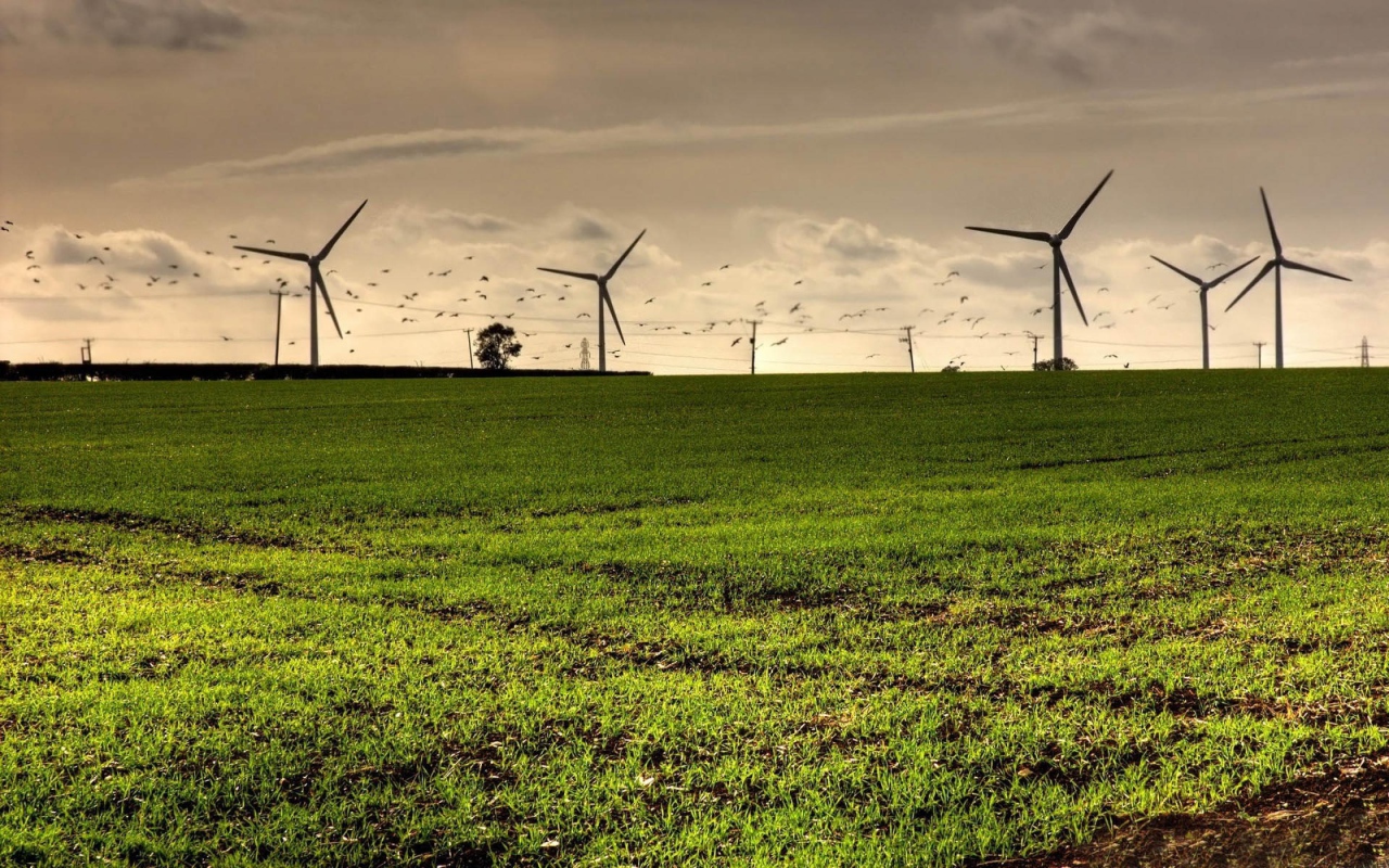 Турбины в полях
